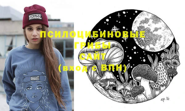 МДПВ Нефтегорск