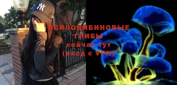 амф Нефтекумск
