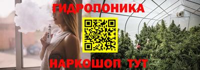 эйфоретик Заводоуковск