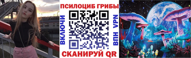 Псилоцибиновые грибы Psilocybe  мега сайт  Ливны 