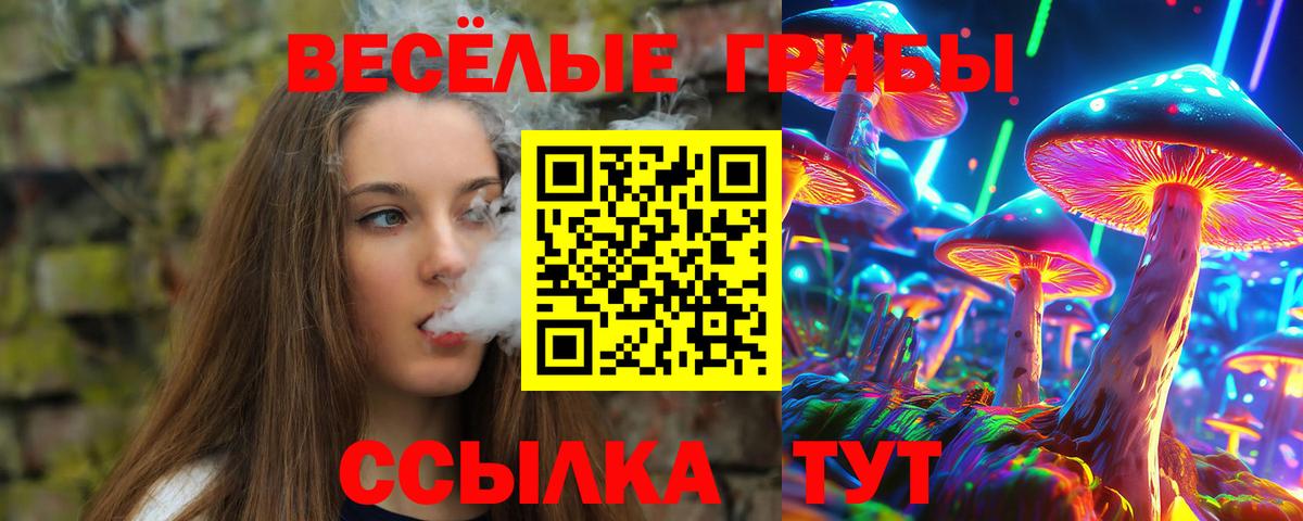 Галлюциногенные грибы Psilocybe Ливны