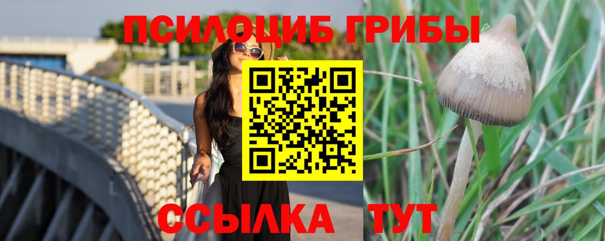 Ливны  Галлюциногенные грибы Psilocybine cubensis  хочу наркоту  Вход с VPN 
